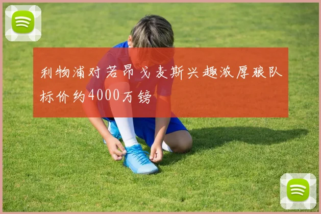 利物浦对若昂戈麦斯兴趣浓厚狼队标价约4000万镑