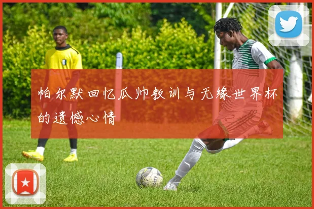 帕尔默回忆瓜帅教训与无缘世界杯的遗憾心情