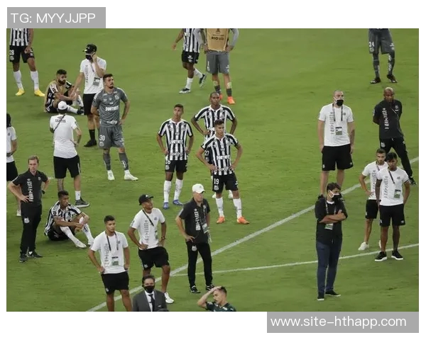 巴西足球盛事帕尔梅拉斯与弗拉门戈争夺南美解放者杯冠军